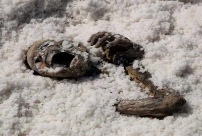 Bajo La Sal dead body under salt in the salt mine