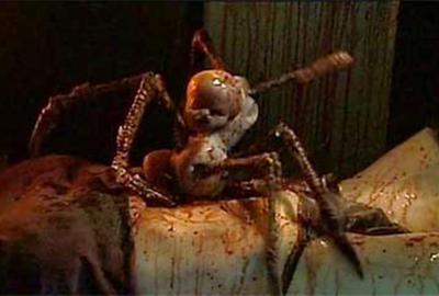 Cradle Of Fear baby spider 