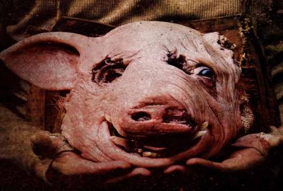 Madison County pig mask