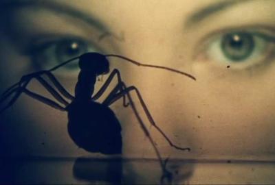 Phase IV woman stares at ant